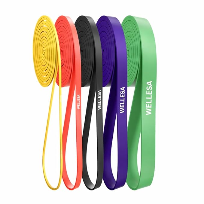 Wellesa Resistance Bands, Men & Women